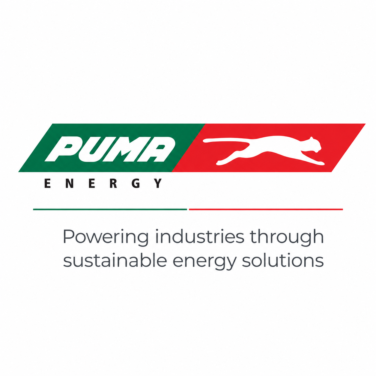 PUMA ENERGY